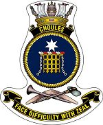 Ship's badge