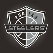 Punjab Steelers logo