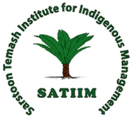 SATIIM logo