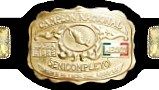 A picture of front plate on a championship belt