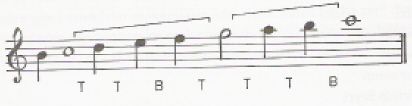 In this and all subsequent staves, the tonic is indicated by a whole note and the dominant by a half note. T stands for tanini (tone) which is equal to 9 commas and B stands for bakiye which is equal to 4 commas.