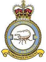 Squadron badge