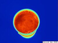 Thermographic image of coffee cup