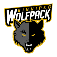 Team logo