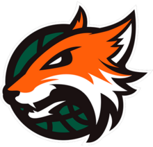 Plymouth Raiders logo