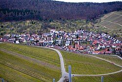 View of one district, with vineyards in the foreground