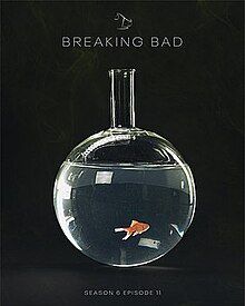 Poster for the episode featuring a fish swimming inside a boiling flask.