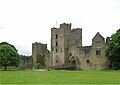 Tudor windows piercing walls.