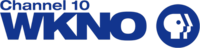 The letters W K N O, tightly tracked and touching each other, next to the PBS network logo. Sitting left-aligned and above WKNO in smaller text are the words "Channel 10".