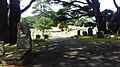 A view across the cemetery