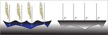 "desertification diagram"