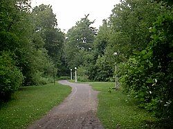 A recreational path in Hampton Park