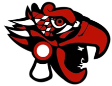 Team logo