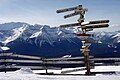 Found at the Banff mountian's ski resort. Alberta Canada, 2003