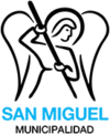 Official logo of San Miguel