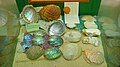 Shell collection sample