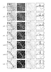 Evolution of a supercluster