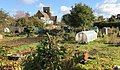 Northfield Allotments overlooked by St John's Church