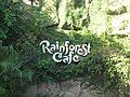 A typical sign outside of Rainforest Cafe, this one is located at Disney's Animal Kingdom in Orlando, Florida.