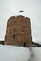 Gediminas Castle (Lithuania)