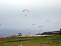 Paragliders(this was from my trip to Torrey Pines Gliderport)