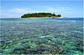 Coral reef near Saronde