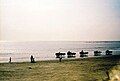 Beach at Uran, India