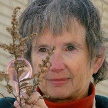 Markowsky, an older white woman with cropped gray hair, looking at a plant with a magnifying glass