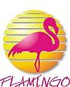 Flamingo Televisión logo