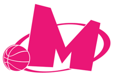 Mega MIS logo