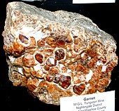 A cluster of orange garnet crystals in a light gray matrix.