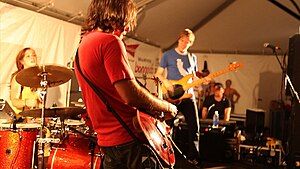 Tiny Animals performing at Bonnaroo 2010.