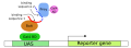 Three hybrid system