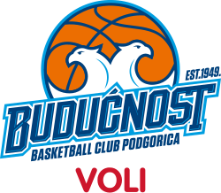 Budućnost VOLI logo