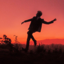 Finneas is seen posing in a field